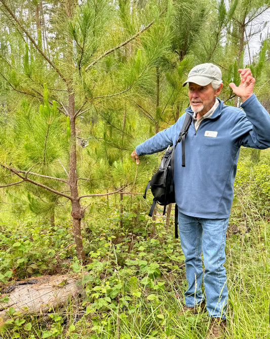 Exploring: Docent walk with Brian Morgan
