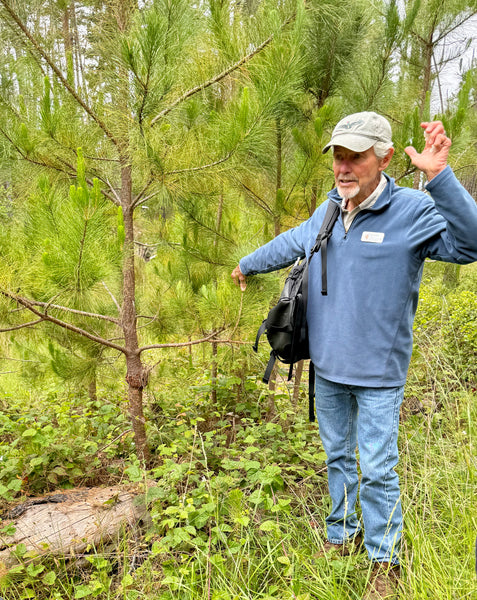 Exploring: Docent walk with Brian Morgan