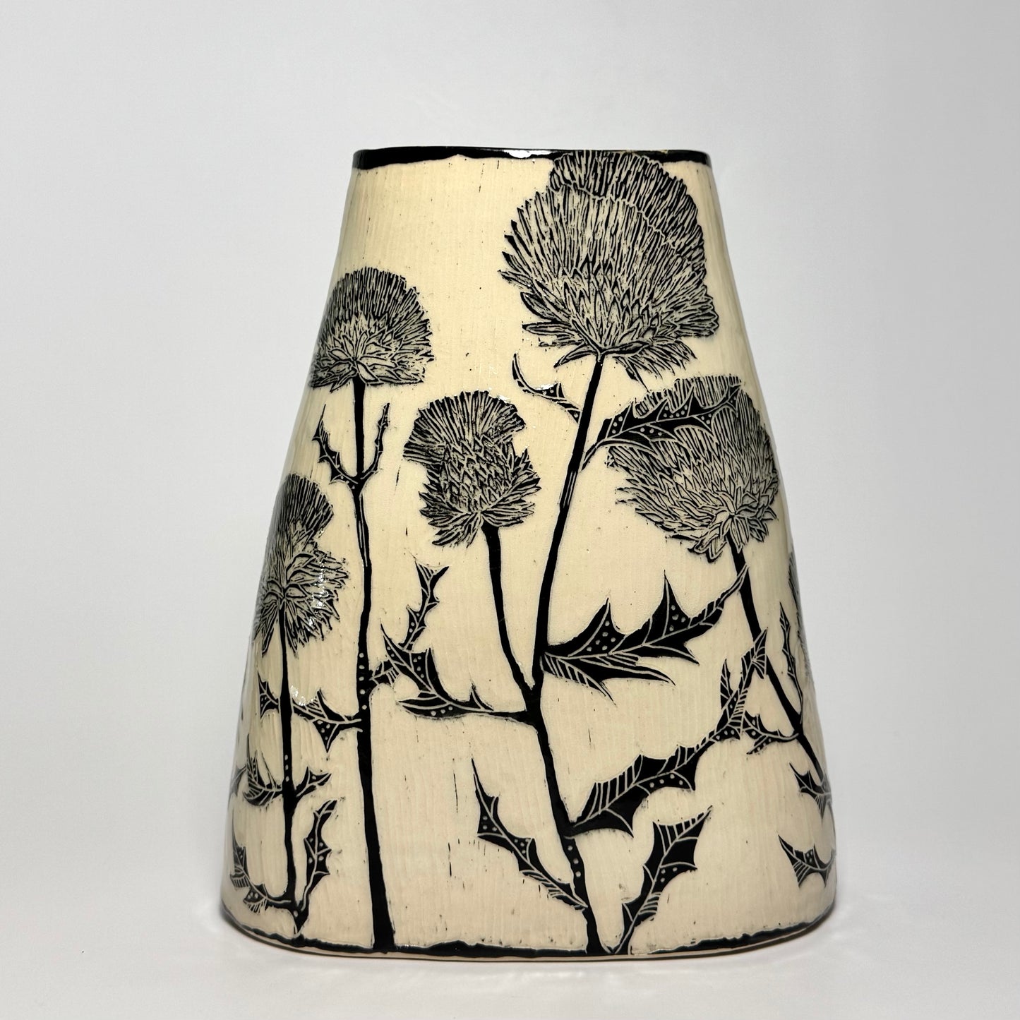 #435 - Cobwebby Thistle - Cirsium Occidentale