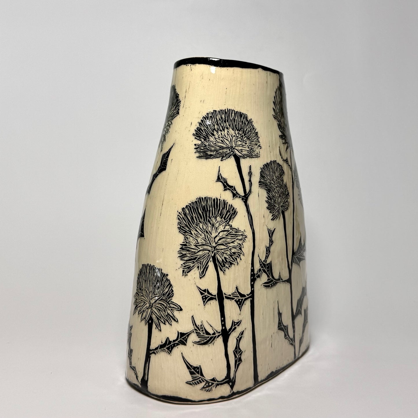 #435 - Cobwebby Thistle - Cirsium Occidentale