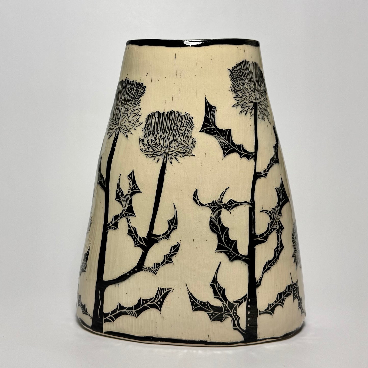 #435 - Cobwebby Thistle - Cirsium Occidentale